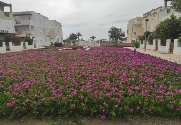 Naturista Natura World Playas de Vera Ngoại thất bức ảnh